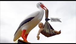 Storch_Video